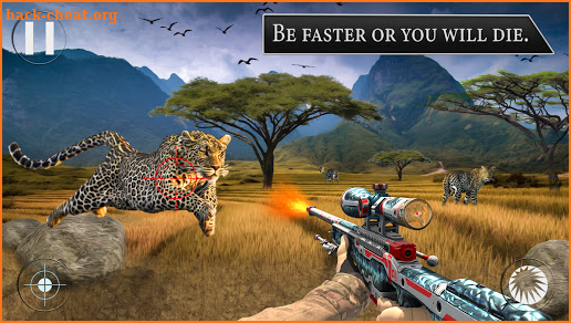 Wild Deer Hunter 2021: Animal Hunting Games screenshot
