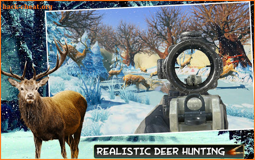 Hunting Animals 3D instal the new for android