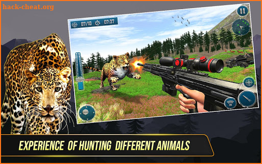 Wild Deer Hunting Adventure :Animal Shooting Games screenshot