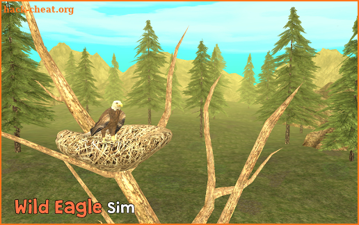 Wild Eagle Sim 3D screenshot