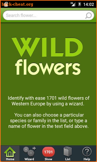 Wild flowers screenshot