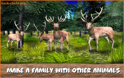 Wild Forest Survival: Animal Simulator screenshot
