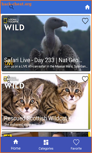 Wild Geographic Videos : Latest Animals Videos screenshot