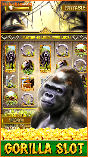 Wild Gorilla Free Slots screenshot