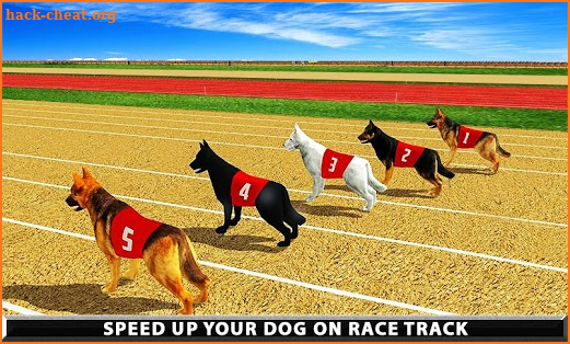 Wild Greyhound Dog Racing screenshot