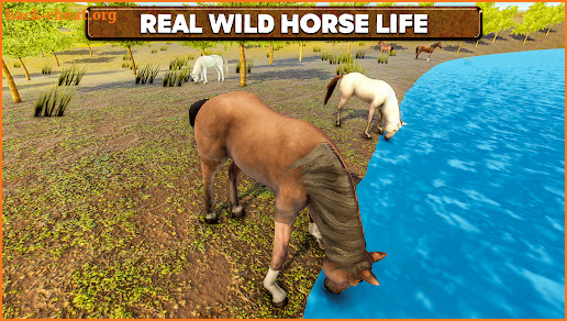 Wild Horse Family Survival screenshot