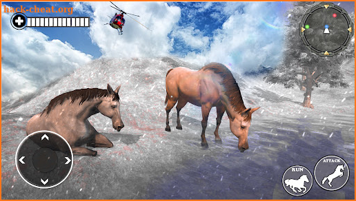 Wild Jungle Horse Clan Games screenshot