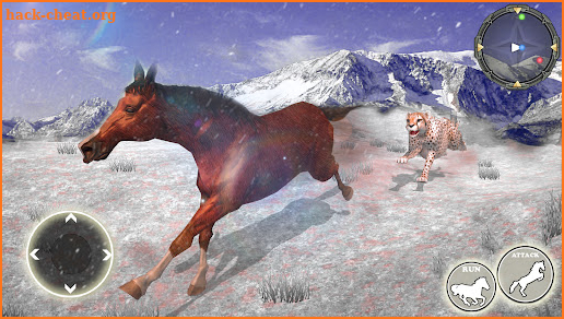 Wild Jungle Horse Clan Games screenshot