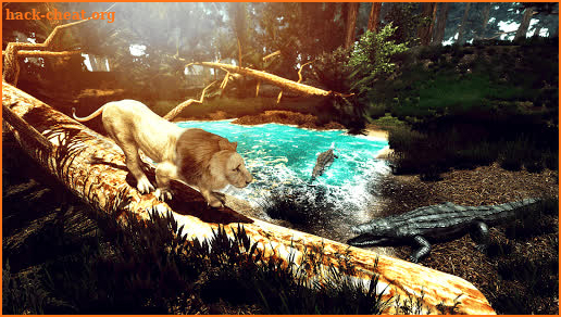 Wild Lion Simulator - Animal Family Survival Game screenshot