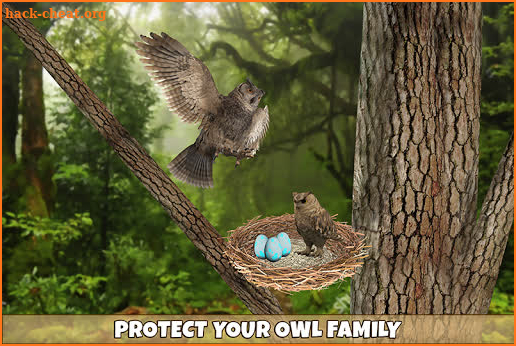 Wild Owl Bird Family Survival screenshot