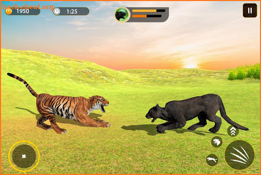 Wild Panther Family: Jungle Adventure screenshot