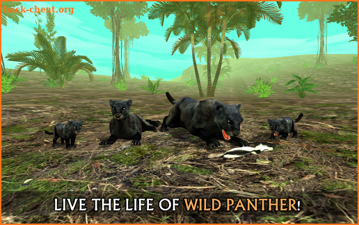 Wild Panther Sim 3D screenshot