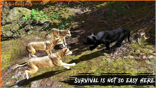 Wild Panther Simulator – Animal Family Life Game screenshot