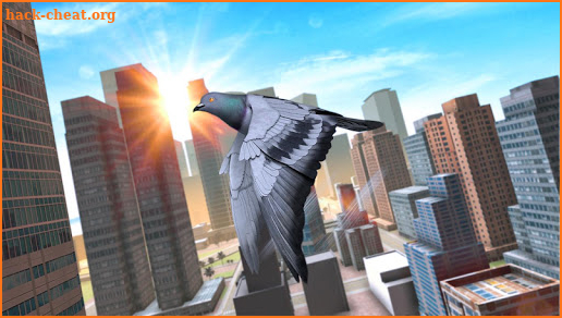 Wild Pigeon Bird City Simulator screenshot