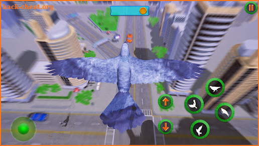 Wild Pigeon Simulator screenshot