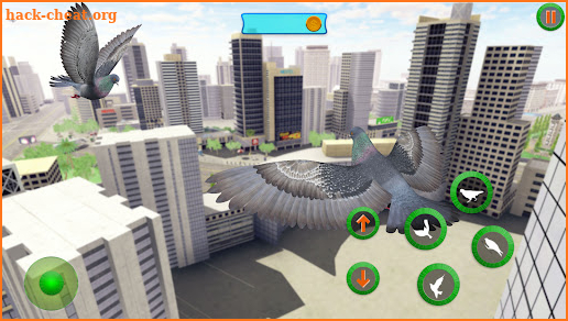 Wild Pigeon Simulator screenshot