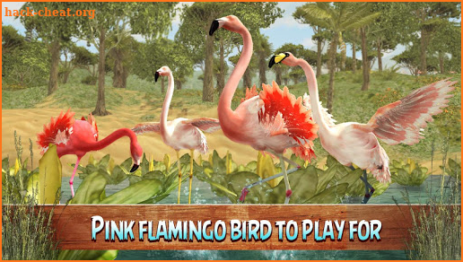 Wild Pink Flamingo Life Simulator screenshot