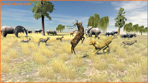 Wild Simulator Free screenshot