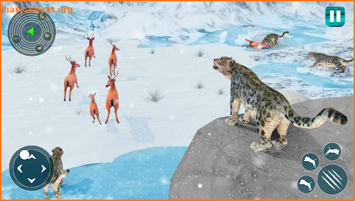 Wild Snow Leopard Simulator screenshot