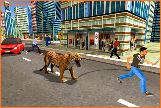 Wild Tiger City Rampage 2019 screenshot