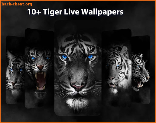 Wild Tiger Live Wallpapers Themes screenshot