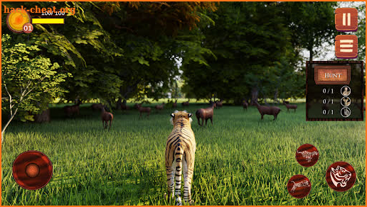 Wild Tiger Simulator - Animal Hunting Life Game screenshot