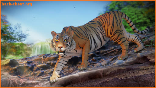 Wild Tiger Simulator - Animal Hunting Life Game screenshot