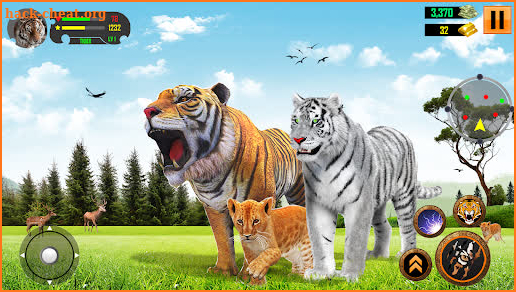 Wild Tiger Simulator Games screenshot