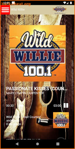 Wild Willie 100.1FM screenshot