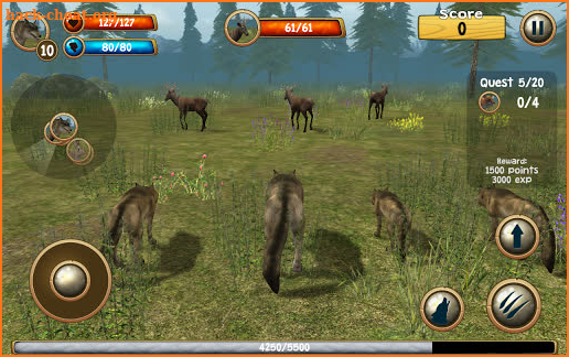 Wild Wolf Simulator 3D screenshot