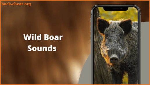 WildBoar Sounds - Wild Boar Calls for Hunting screenshot