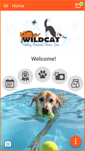 Wildcat Vet screenshot
