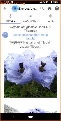 Wildflowers of Mount Everest screenshot