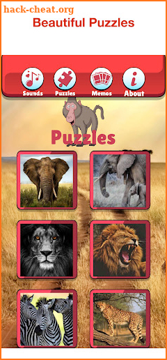 Wildlife Africa Games For Kids screenshot