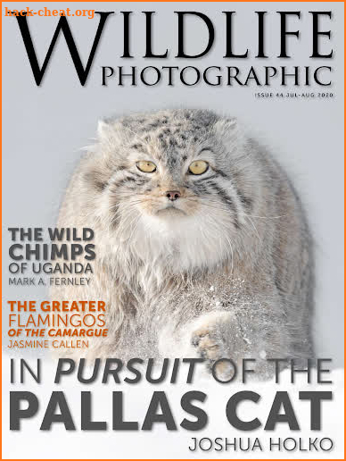 Wildlife Photographic Magazine screenshot