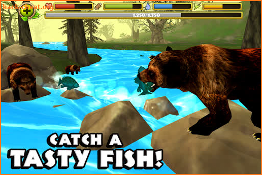 Wildlife Simulator: Bear screenshot