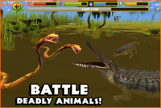 Wildlife Simulator: Crocodile screenshot