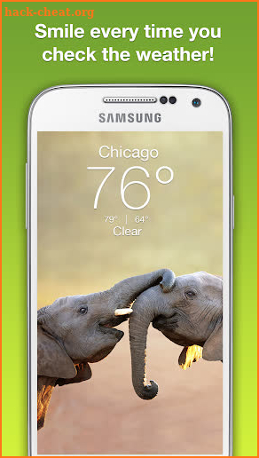 Wildlife Weather screenshot