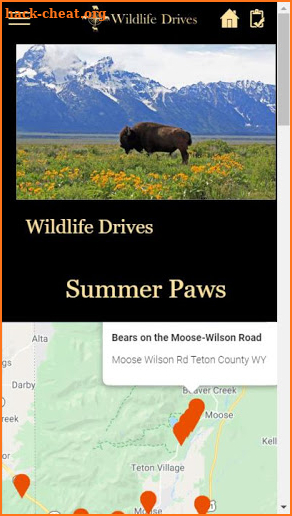 WildlifeDrives-YellowstoneGTNP screenshot