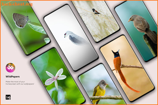 WildPapers - Wildlife Photography Wallpapers screenshot