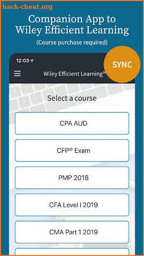 Wiley Efficient Learning screenshot