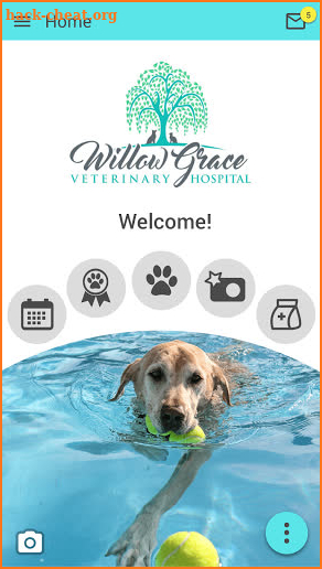 Willow Grace Vet Hospital screenshot