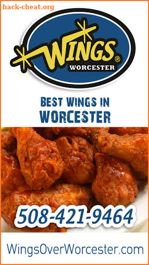 Wings Over Worcester screenshot