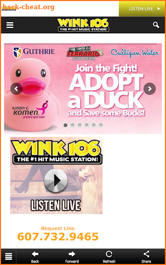 Wink 106 (WNKI FM) screenshot