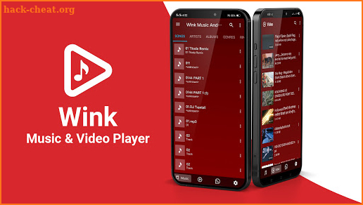Wink Media Player screenshot