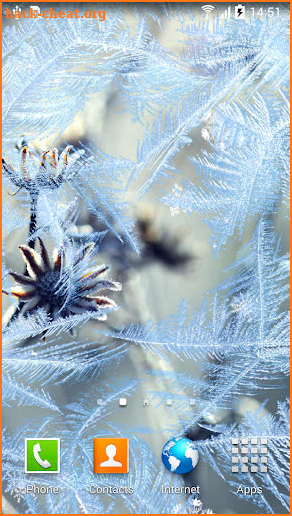 Winter Flowers Live Wallpaper screenshot