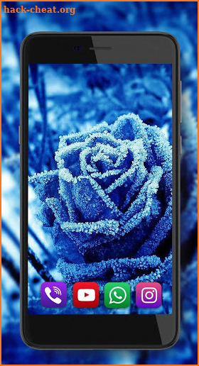 Winter Roses live wallpaper screenshot