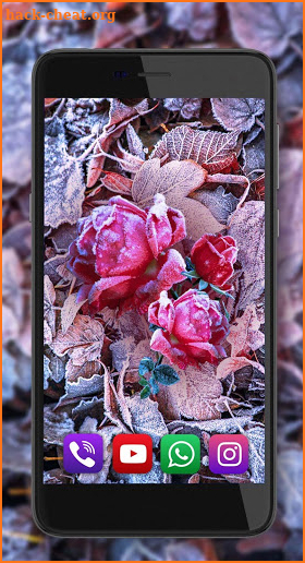 Winter Roses live wallpaper screenshot