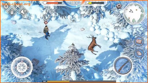 Winter Survival screenshot