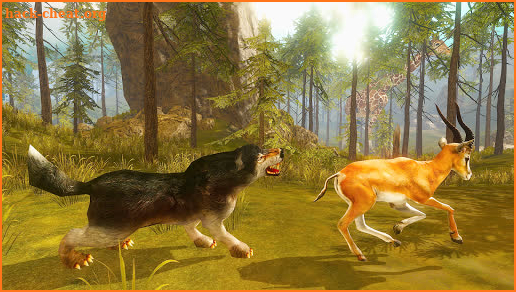 Wolf Leader Life Simulator screenshot